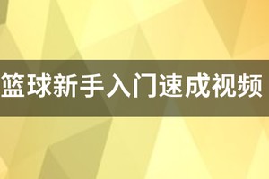 美国篮球个人训练视频
